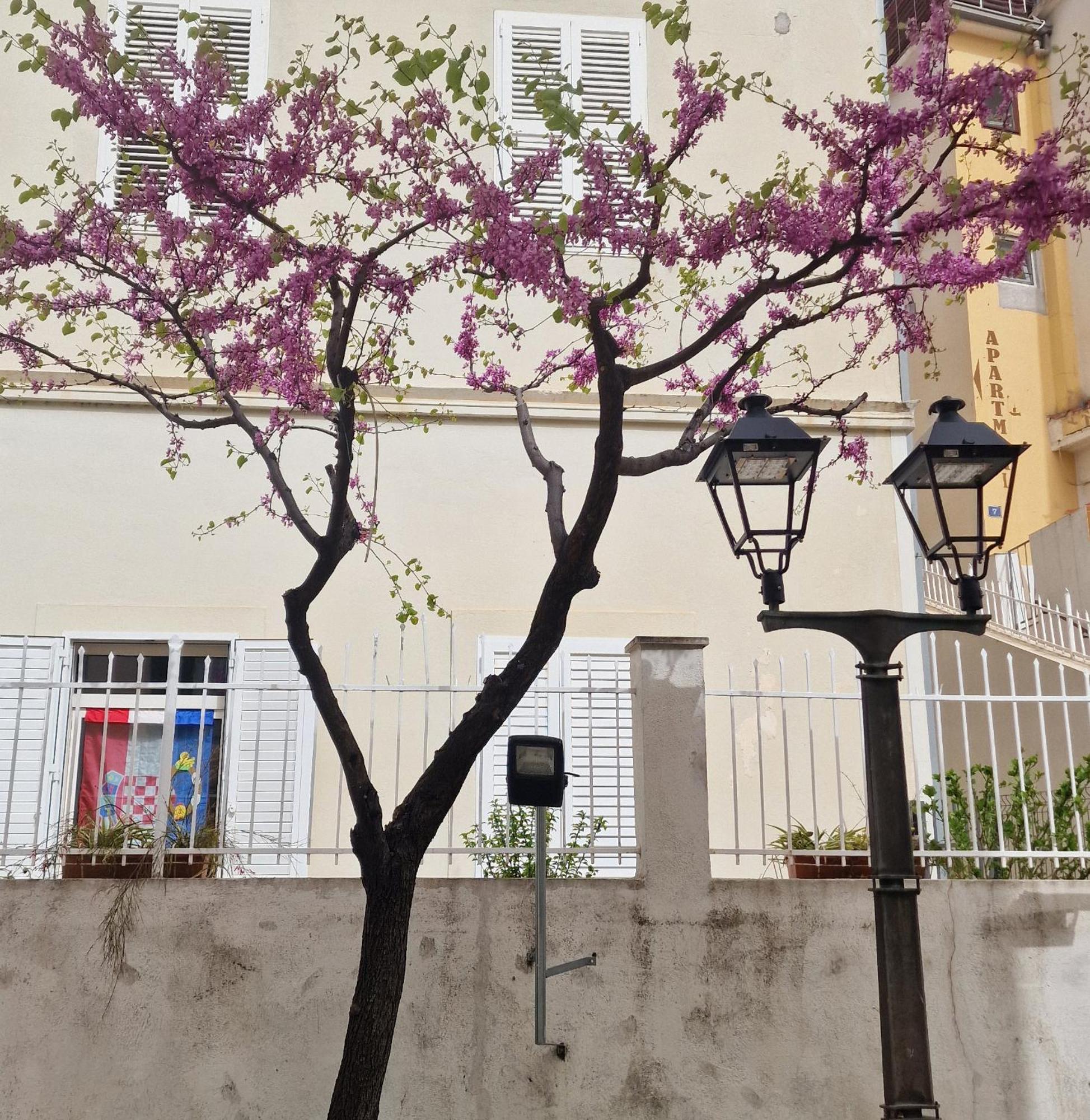 Old Town Apartment Omiš Kültér fotó